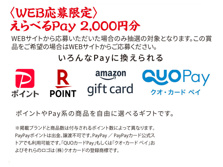 〈WEB応募限定〉えらべるPay 2,000円分
